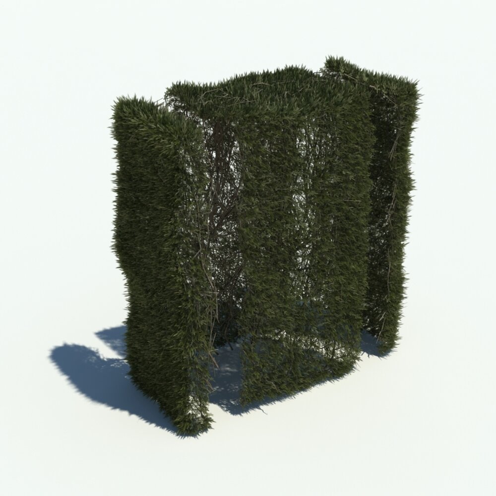 Hedge V6 3D 모델 