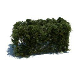 Hedge V10 3Dモデル