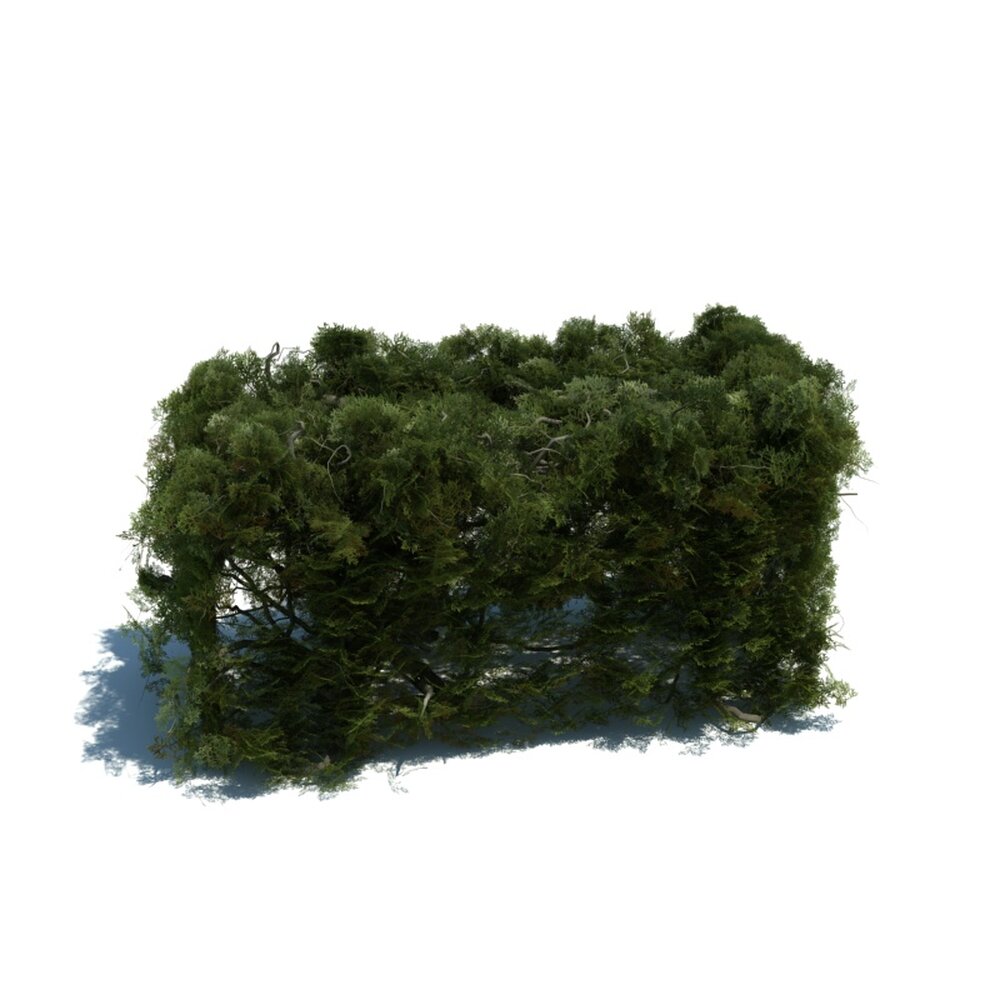 Hedge V10 3Dモデル