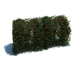 Hedge V14 3D 모델 