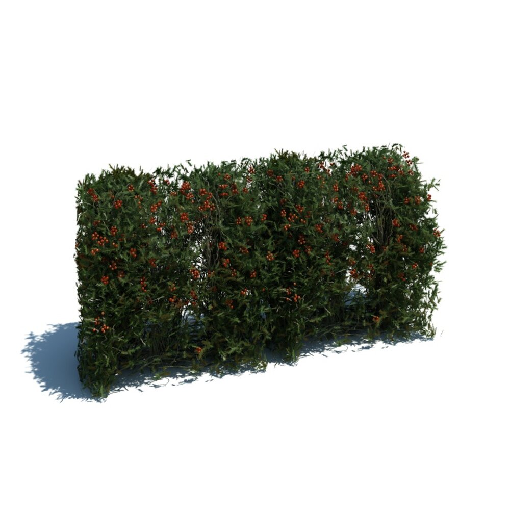 Hedge V14 3D-Modell