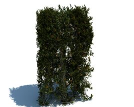Hedge V15 3D 모델 