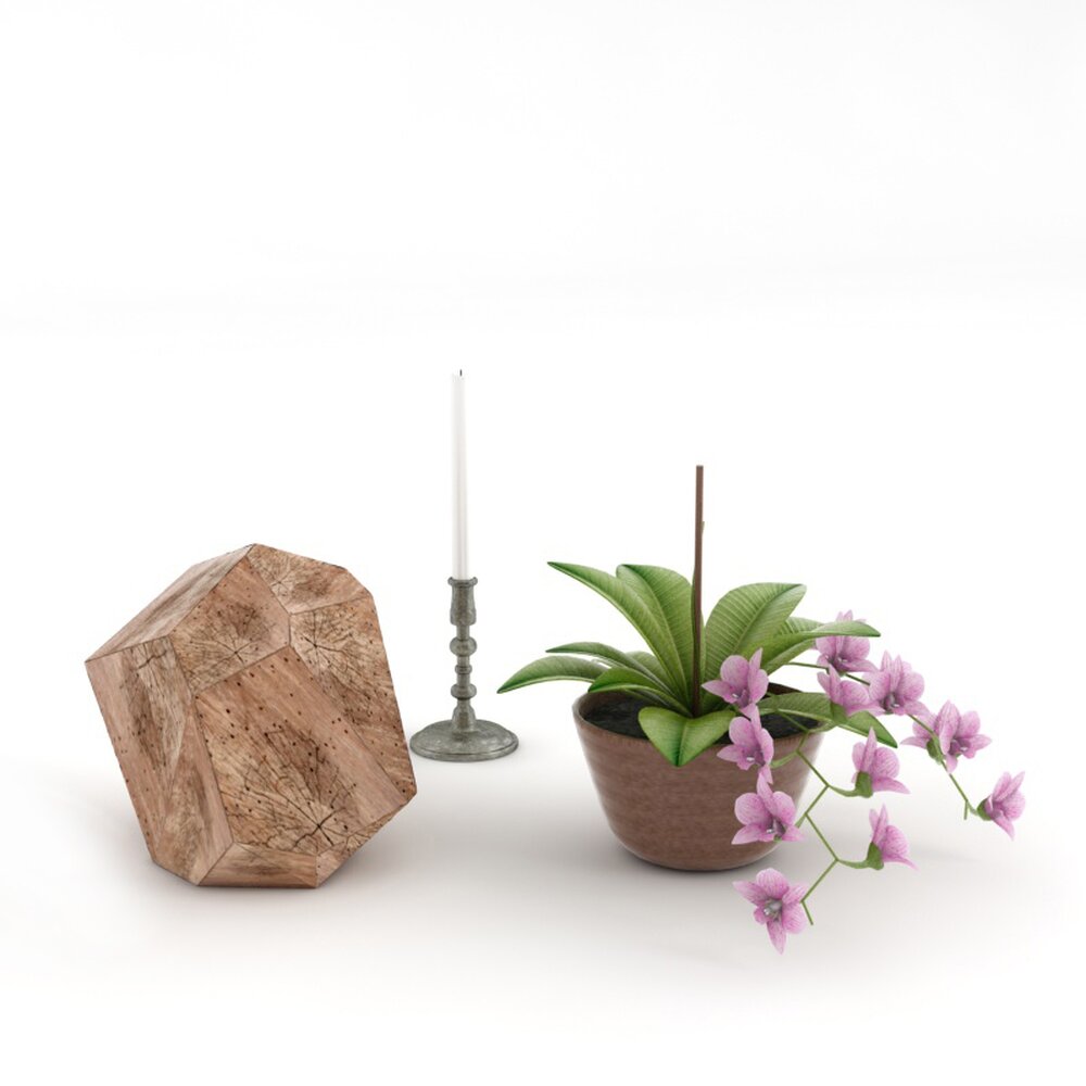 Geometric Wooden Planter and Decorative Accessories 3D 모델 