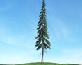 Lone Pine Tree 06 3Dモデル