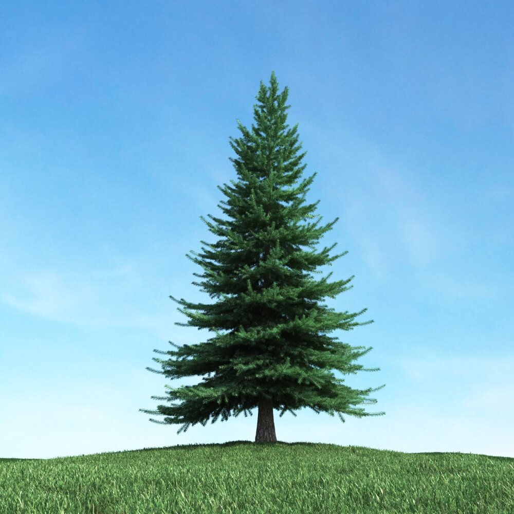 Verdant Pine Tree 02 Modèle 3d