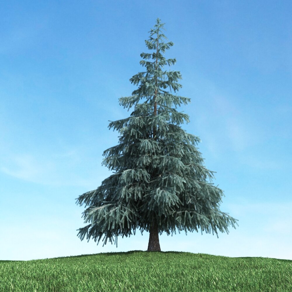 Solitary Pine Tree 07 3D model