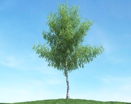 Solitary Tree 29 Modello 3D