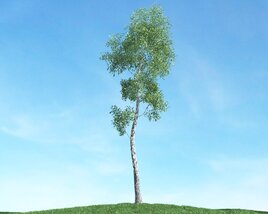 Solitary Tree 32 3D模型