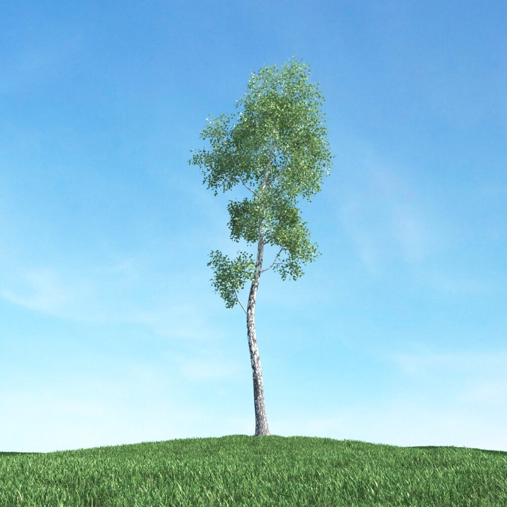 Solitary Tree 32 3D-Modell
