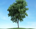 Solitary Tree 37 3D-Modell