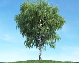 Solitary Tree 38 Modèle 3D