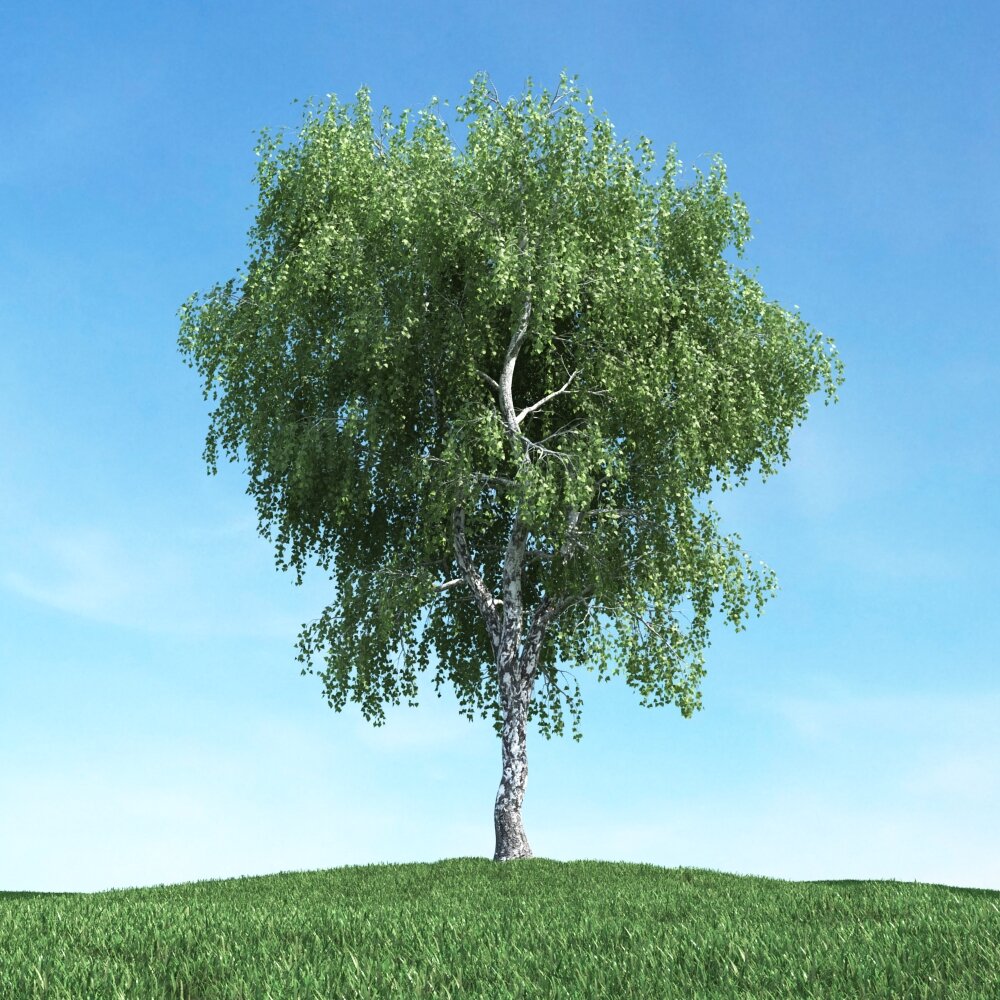 Solitary Tree 38 3D модель
