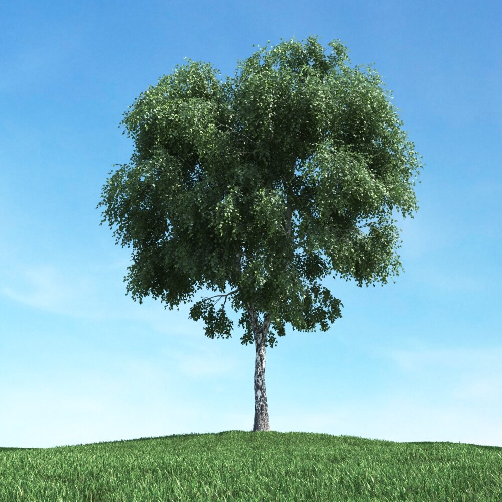 Solitary Tree 39 3D model