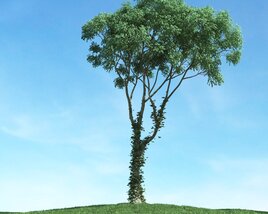 Solitary Tree 41 3D-Modell