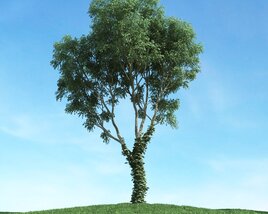 Solitary Tree 42 3D模型