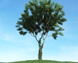 Solitary Tree 48 3Dモデル
