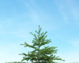 Lonely Pine Modelo 3D