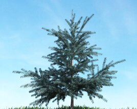 Verdant Pine Tree 03 3D модель