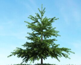 Lush Green Pine Tree 3D модель