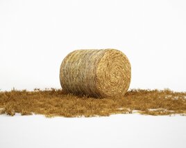 Rolled Hay Bale 3D-Modell