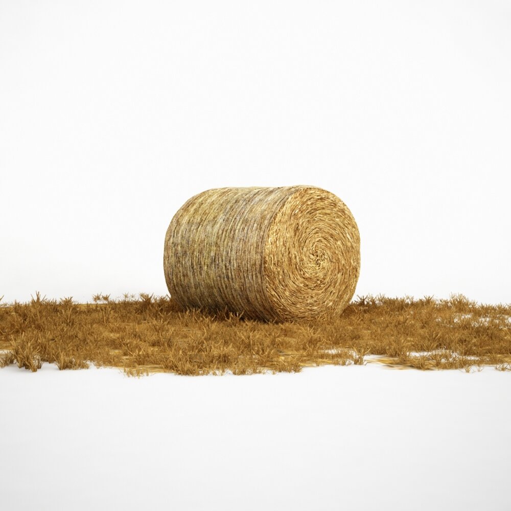Rolled Hay Bale 3D 모델 