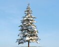 Winter Picea Modello 3D