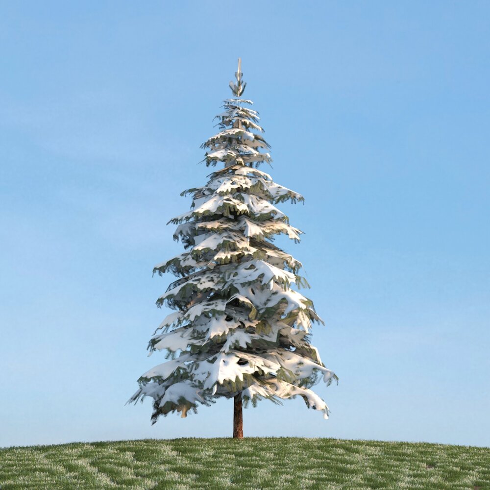 Winter Picea Modelo 3d