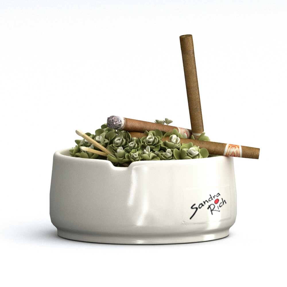 Ceramic Ashtray with Cigars and Matches 3d model