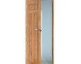 Wooden Interior Door 3d model