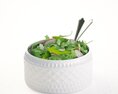 Fresh Garden Salad 3d model