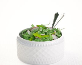 Fresh Garden Salad 3D модель