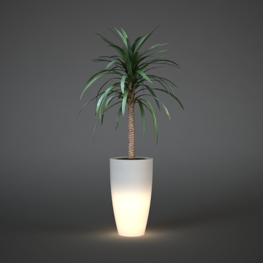 Illuminated Potted Plant 3d model