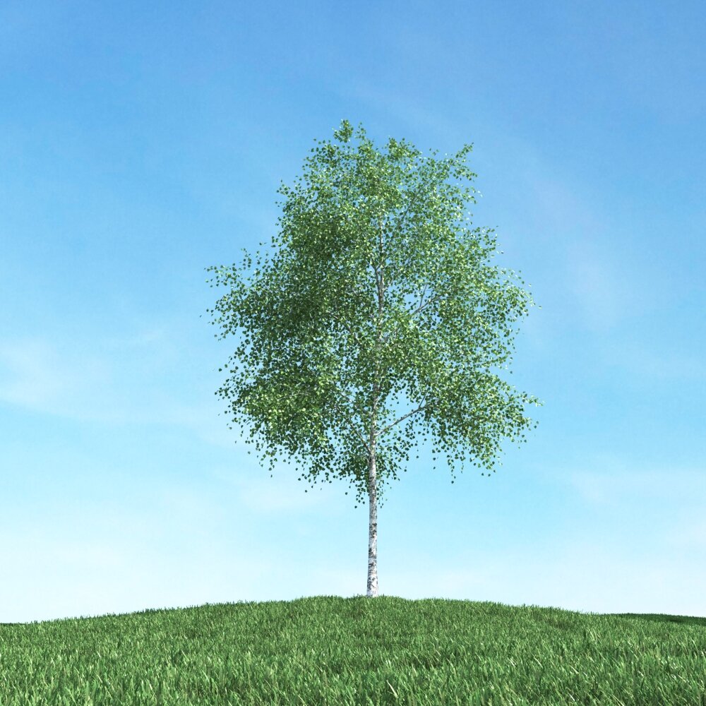Solitary Tree 58 3D model