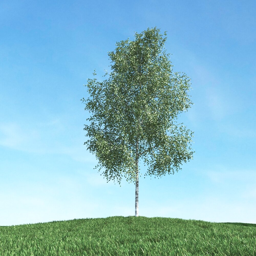 Solitary Tree 59 3D-Modell