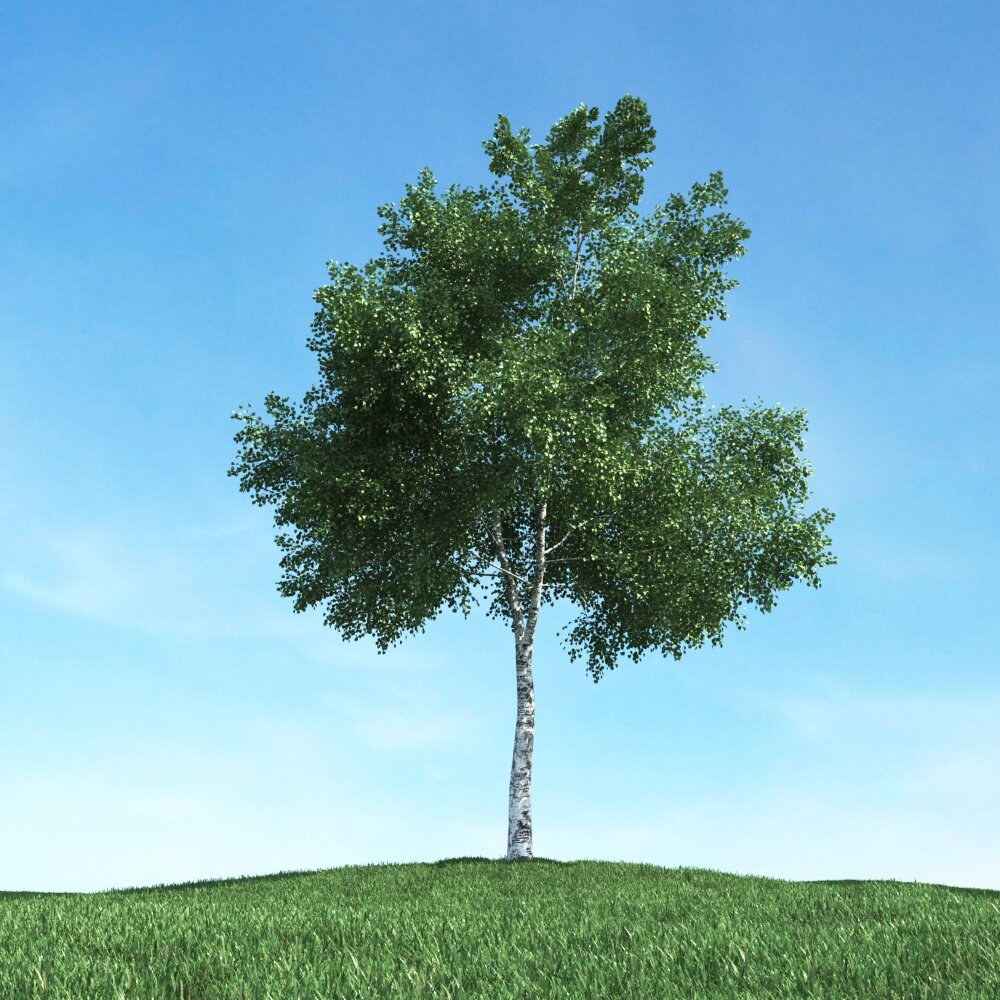 Solitary Tree 61 Modelo 3D