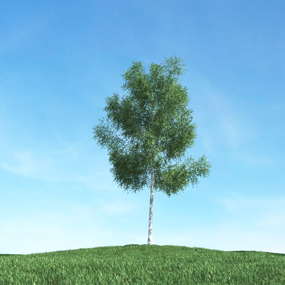 Solitary Tree 63 3D model