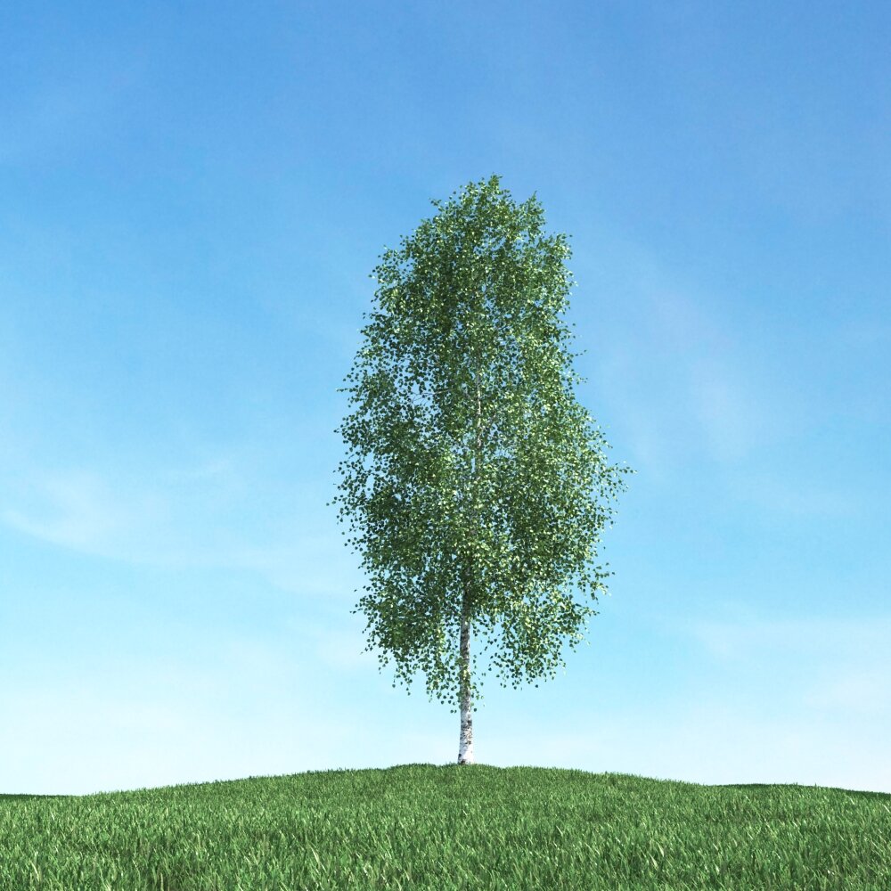 Solitary Tree 64 3D-Modell