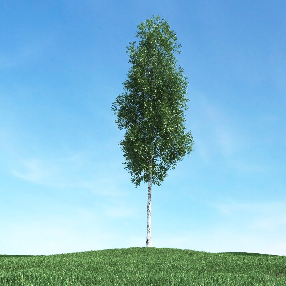 Solitary Tree 65 3D-Modell