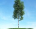 Solitary Tree 66 3D 모델 