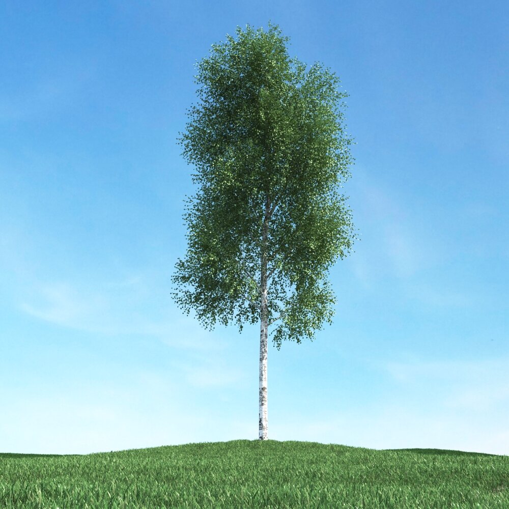 Solitary Tree 66 Modello 3D