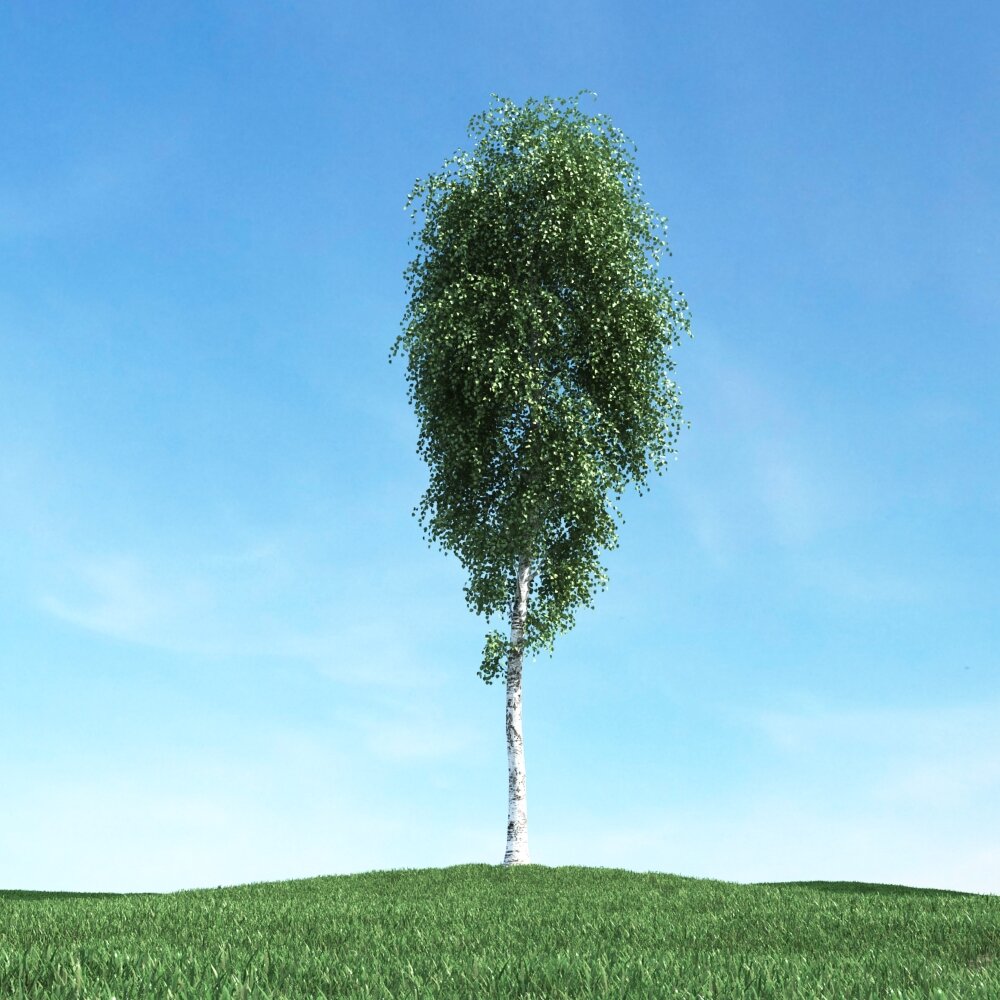 Solitary Tree 67 3D模型