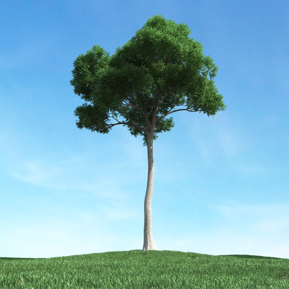 Solitary Tree 77 3D-Modell