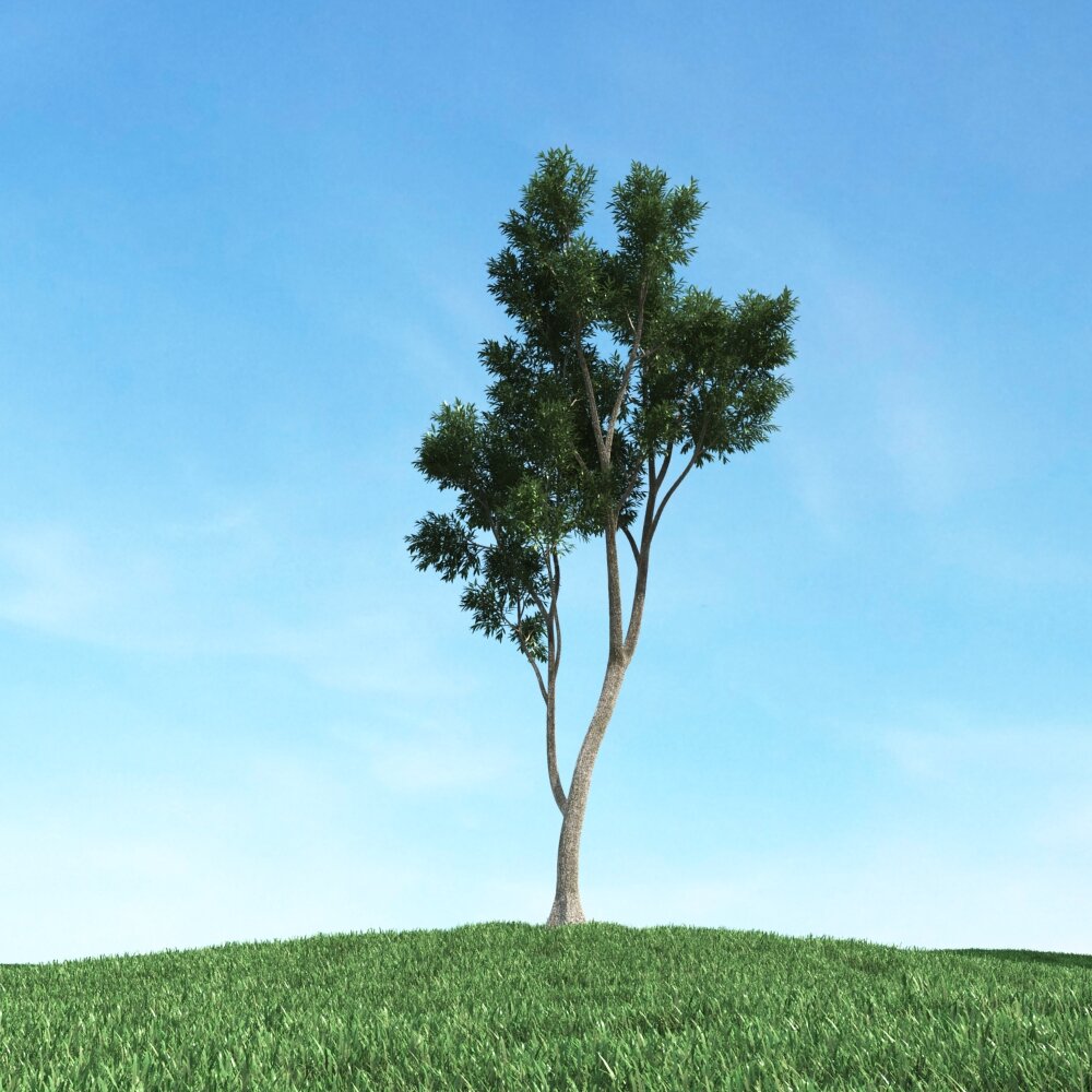 Solitary Tree 78 3D модель