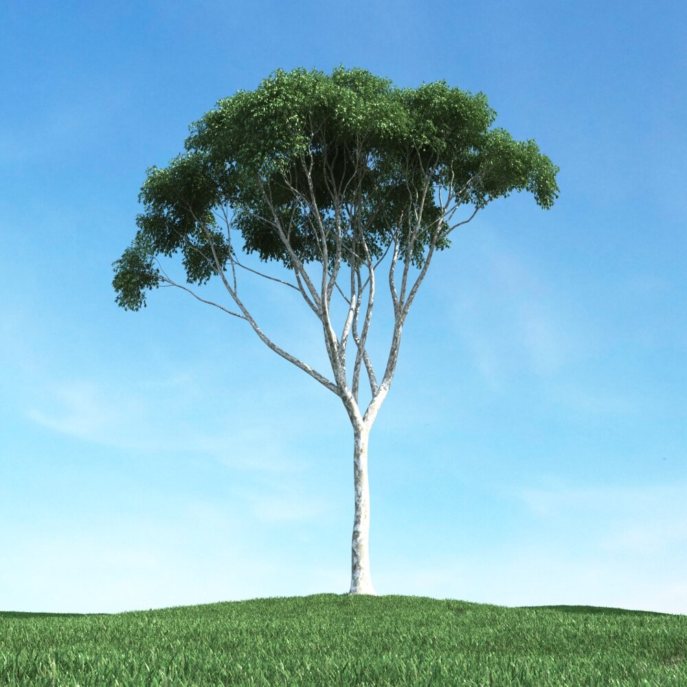 Solitary Tree 79 3D модель