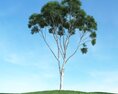 Solitary Tree 80 3D-Modell