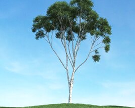 Solitary Tree 80 Modelo 3D