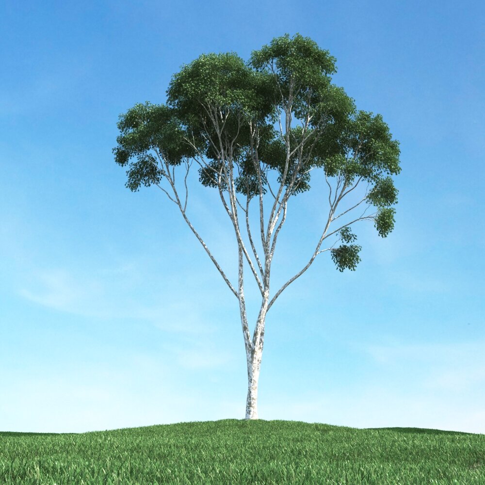 Solitary Tree 80 3D模型