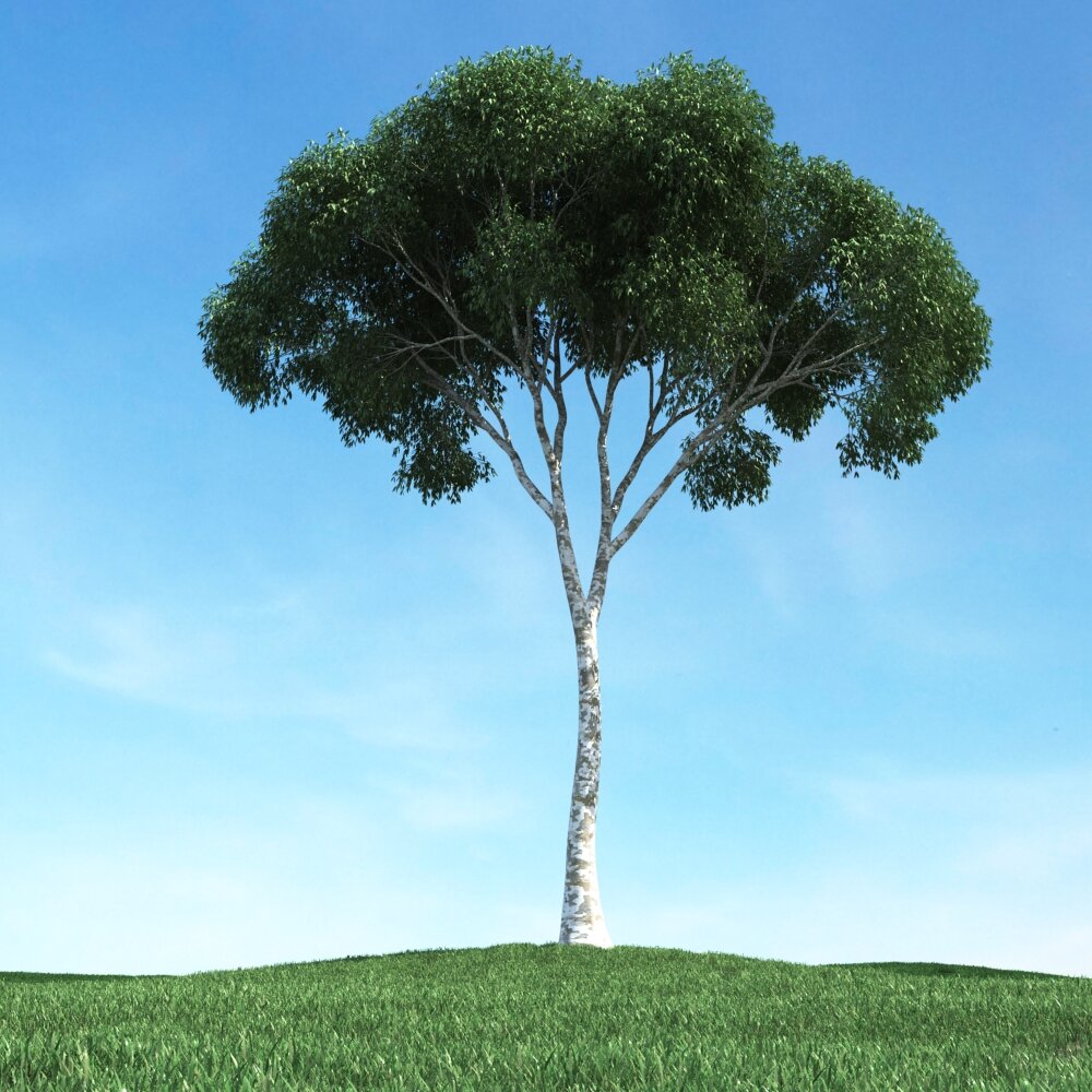 Solitary Tree 81 3D-Modell