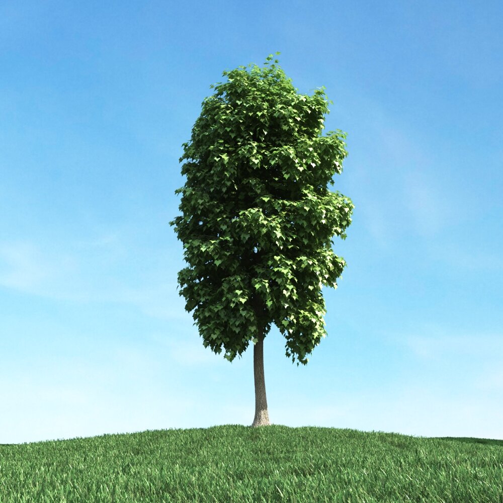Solitary Tree 82 Modèle 3D