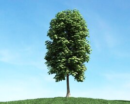Solitary Tree 83 3D модель